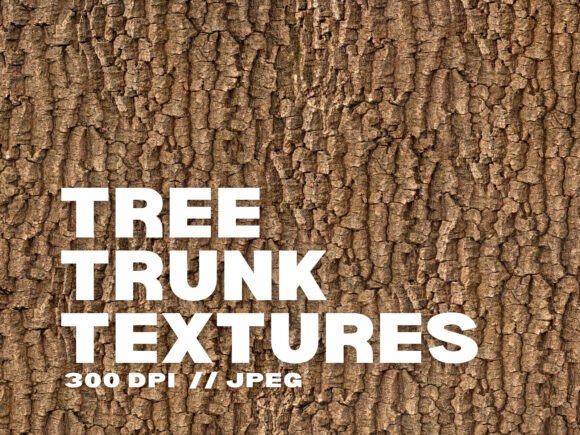 Download 10 Tree Trunk Textures - Texture Collection