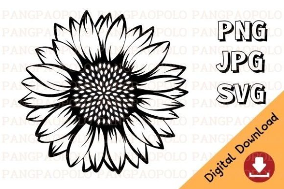 Download Sunflower SVG - Sunflower Collection