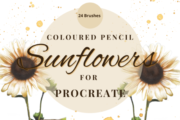 Download Procreate Coloured Pencil Sunflowers - Sunflower Collection