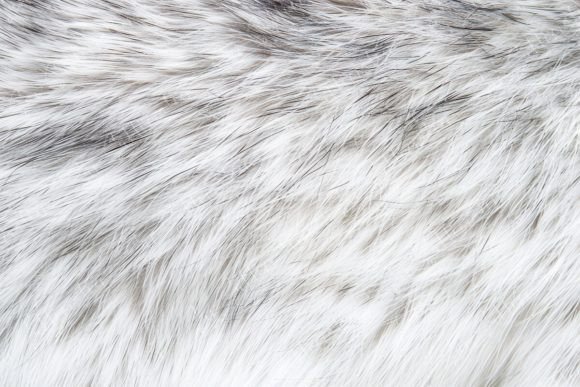 Download Soft Fur Texture - Texture Collection