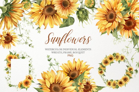 Download Watercolor Sunflower Clipart Bouquet PNG - Sunflower Collection